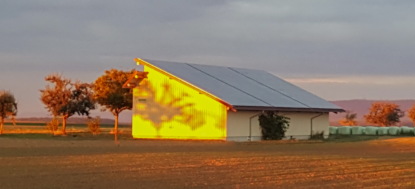 Grundstück Erfahrungen